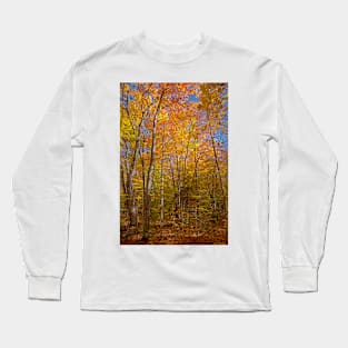 Fall in the Forest Long Sleeve T-Shirt